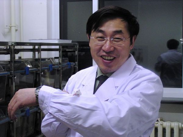 20101117180005138375