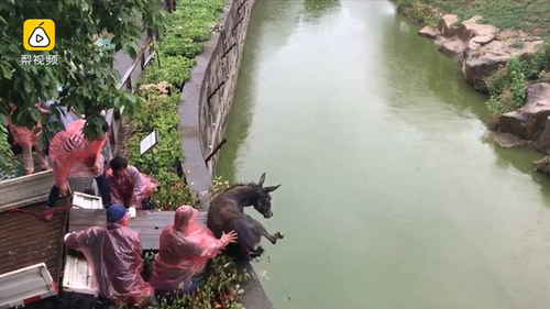 1800914_600x450 1800914_600x450