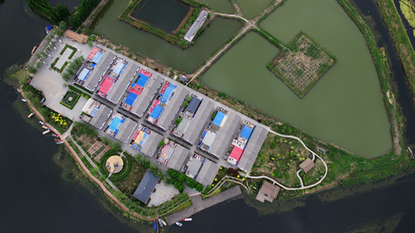 1121106731_14968852769271n 1121106731_14968852769271n