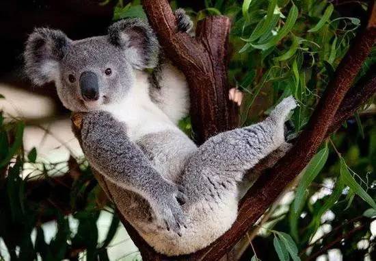 中国的高考很残酷？外国的考生同样不好过