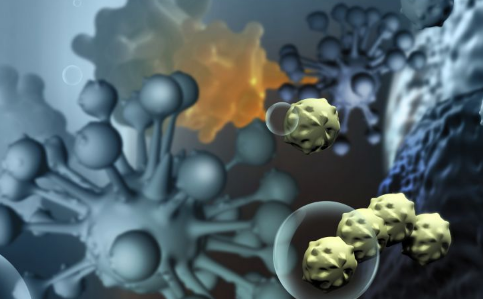 癌症会遗传吗 易感基因有哪些 癌症会遗传吗 癌症易感基因有哪些 癌症会不会遗传