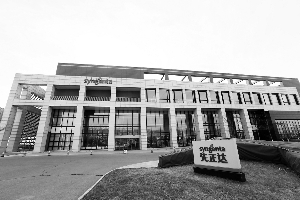 129628896_14969667991341n 129628896_14969667991341n