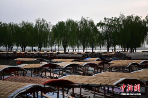 资料图：雄安新区白洋淀，密密麻麻的手摇游船。<a target='_blank' href='http://www.chinanews.com/'>中新社</a>记者 翟羽佳 摄