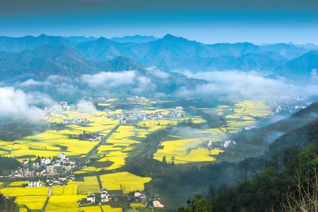 u=2166570952,4179762836&fm=200&gp=0 u=2166570952,4179762836&fm=200&gp=0