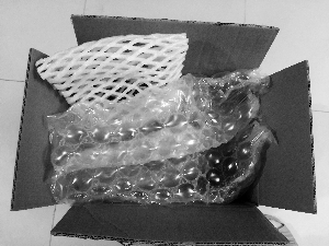 1121131815_14973141738481n 1121131815_14973141738481n