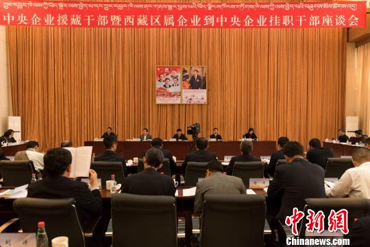 图为6月13日“中央企业援藏干部暨西藏区属企业到中央企业挂职干部座谈会”?！『闻罾?摄