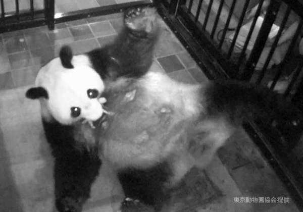 129632794_14974261914861n 129632794_14974261914861n