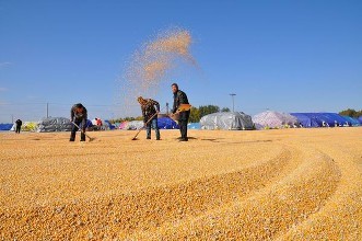 u=4196383007,1485387800&fm=72 u=4196383007,1485387800&fm=72