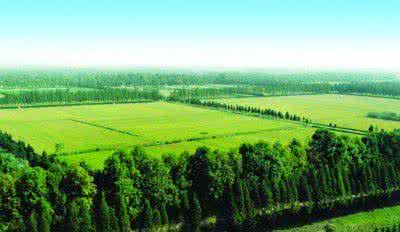 u=3446186596,2436659561&fm=26&gp=0 u=3446186596,2436659561&fm=26&gp=0