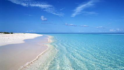 t0143b31232375695d6 t0143b31232375695d6