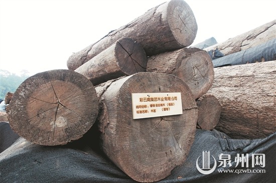 去年以来，红木原料进口大幅减少。（CFP 图）