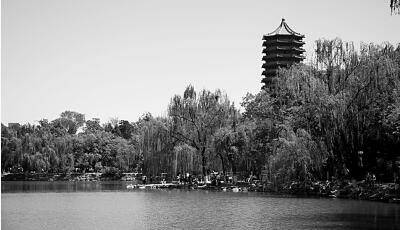 “名牌”大学的社会责任