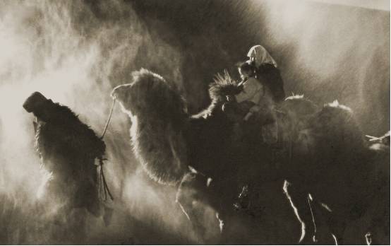 他用29年奋斗 让数亿人看到改变生活的新曙光