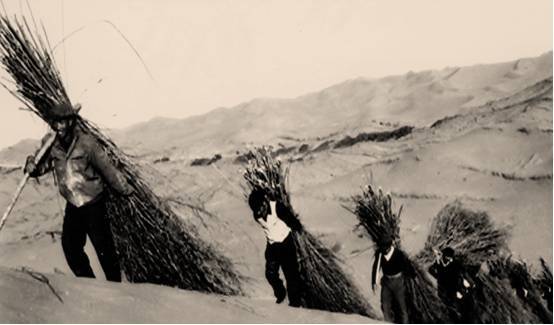 他用29年奋斗 让数亿人看到改变生活的新曙光