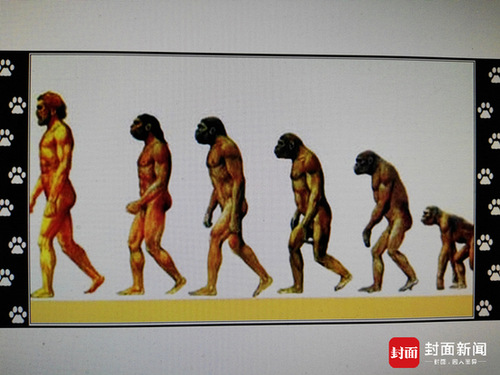 起底神农架野人之谜 古人类学家:有野人是胡扯