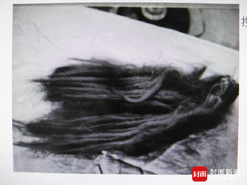 起底神农架野人之谜 古人类学家:有野人是胡扯