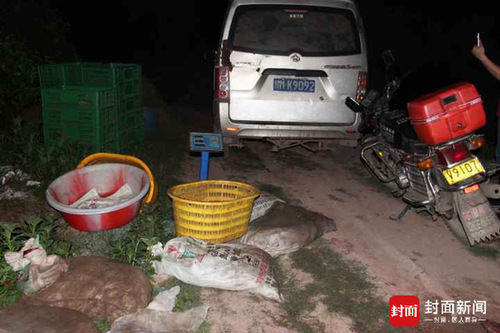 四川男子捕700只癞蛤蟆 涉“非法狩猎”被抓