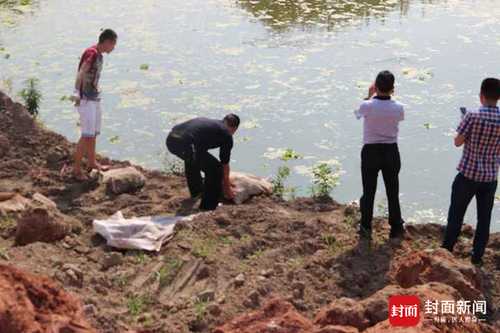四川男子捕700只癞蛤蟆 涉“非法狩猎”被抓