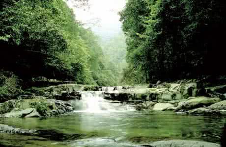 u=722555844,3724585915&fm=26&gp=0 u=722555844,3724585915&fm=26&gp=0