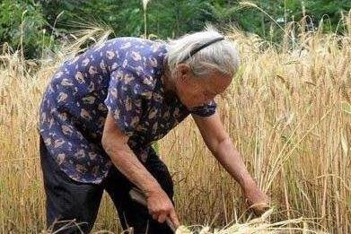 QQ截图20170621095132 QQ截图20170621095132