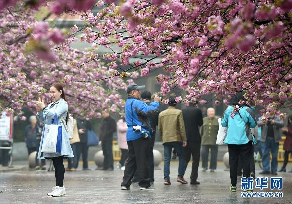 (新华全媒头条·解码中国科大·图文互动)(3)科大之问——“中国科大现象”启示录