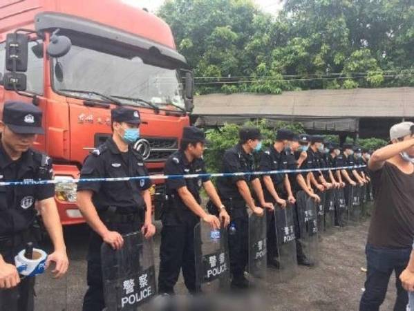 广州爱狗人士拦车救上千条待宰犬