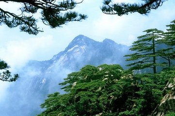 t019899518a7560e8c0 t019899518a7560e8c0