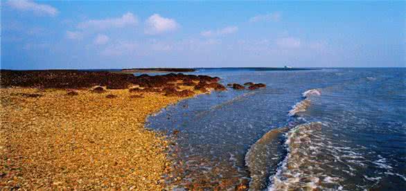 u=1748890600,3250375240&fm=26&gp=0 u=1748890600,3250375240&fm=26&gp=0