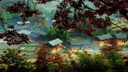 t01be7329c31dc11e59 t01be7329c31dc11e59