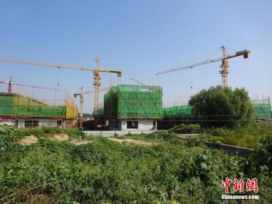 资料图。董飞 摄