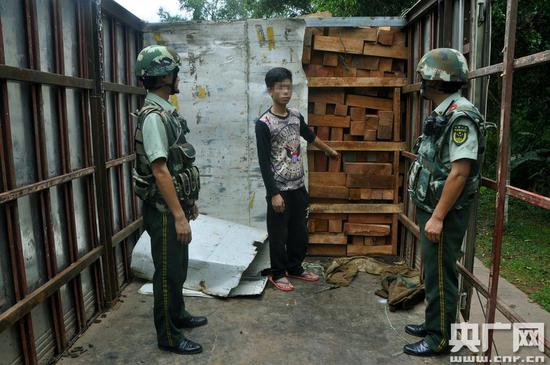 在改装货车中查获两吨珍惜木材花梨木(央广网发 韩靖 摄)