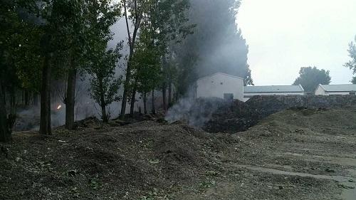 京津交界现大量疑似医疗垃圾 离居民区不到100米