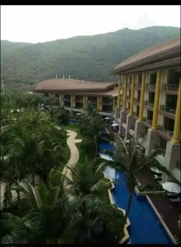 杭州保姆纵火案追踪:事发前莫某晶还发照片炫富！