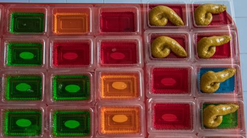 “狗大便”甜点由椰奶、明胶和食用色素做成。（图片来源：法新社）