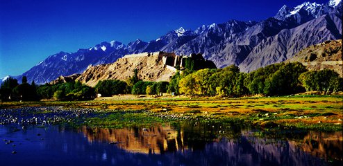 t01aef0008b22c1a973 t01aef0008b22c1a973