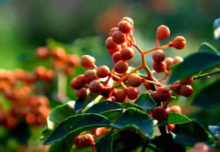 u=3526140084,809080666&fm=26&gp=0 u=3526140084,809080666&fm=26&gp=0