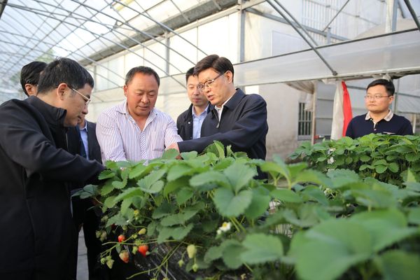 27172658hd62 27172658hd62