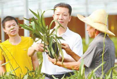 2017041507263091065 2017041507263091065