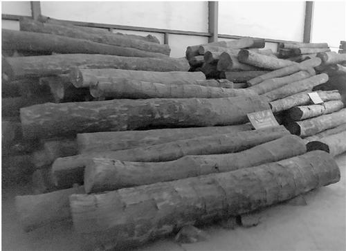 　　东阳一些商家囤售的血檀木。