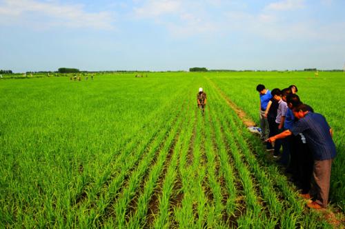 4e0da1d558cc481087aea203c1103e9d 4e0da1d558cc481087aea203c1103e9d