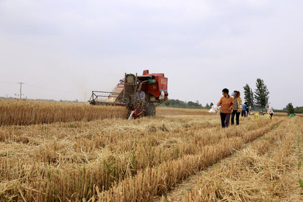 001MiQoIzy6JGP5GVUv33&690 001MiQoIzy6JGP5GVUv33&690