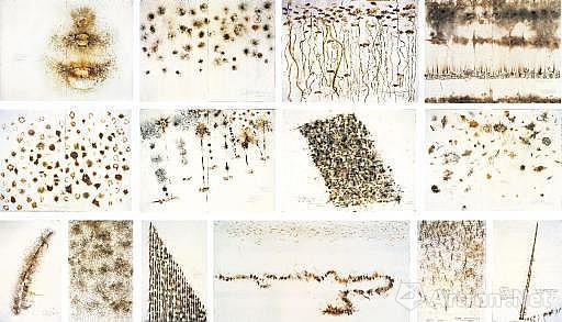 2007年，中国艺术家蔡国强的《APEC景观焰火表演十四幅草图》在香港佳士得秋拍中以7,425万港元创下当时中国当代艺术、中国画作及蔡国强个人作品世界拍卖最高成交价的三项世界拍卖纪录。