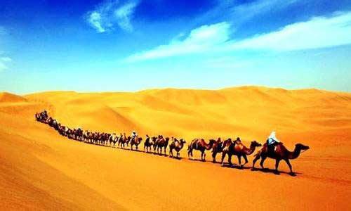 W020170514428493504830 W020170514428493504830