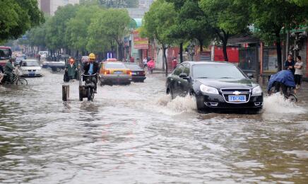 W020170704419262055402 W020170704419262055402