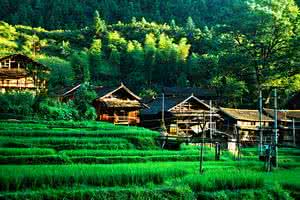 u=1287075371,1333632065&fm=26&gp=0 u=1287075371,1333632065&fm=26&gp=0