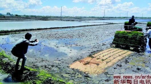 1121264345_14992116200121n 1121264345_14992116200121n