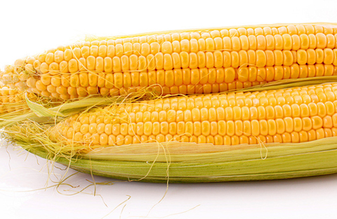 14-1411191AH9-50 14-1411191AH9-50