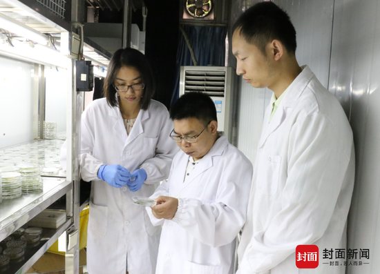 两教授靠一篇文章拿1350万元奖励 校方:非个人奖励