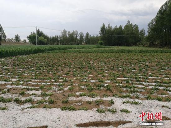 资料图：冰雹天气。王永平 摄