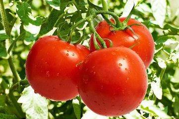 t0114f041c2ad7a921c t0114f041c2ad7a921c